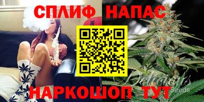 хмурый Краснодар