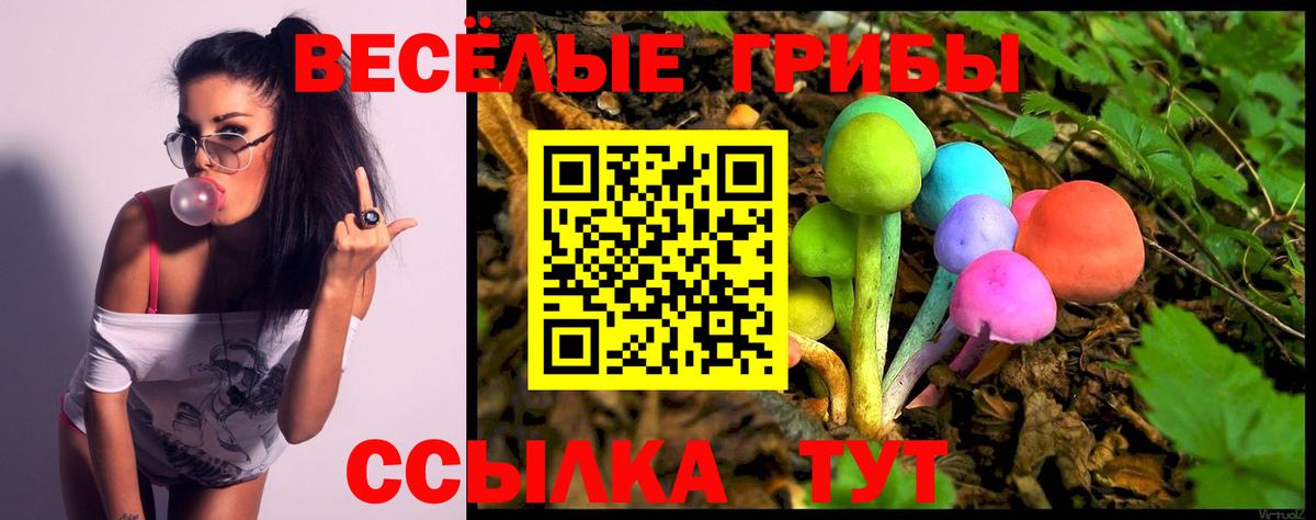 Галлюциногенные грибы Psilocybine cubensis  Вход с VPN  Изобильный 